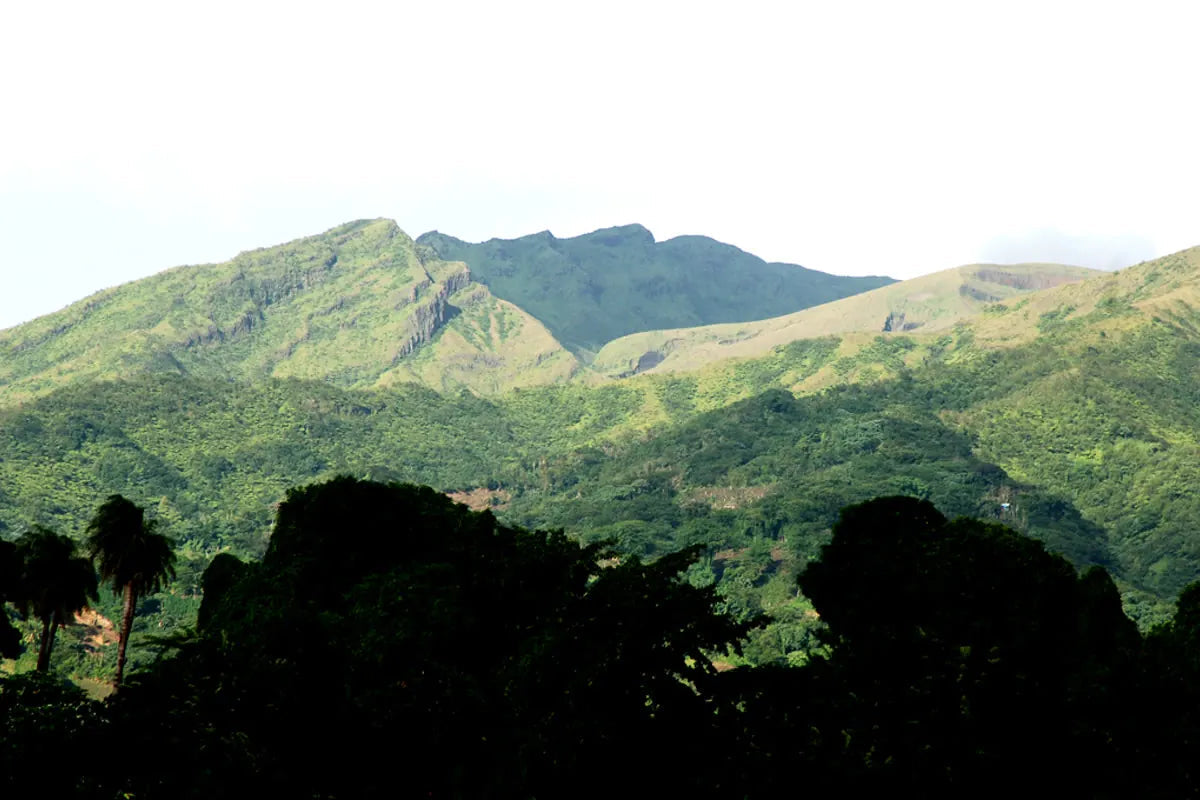 Saint Vincent and the Grenadines landmark travel destination