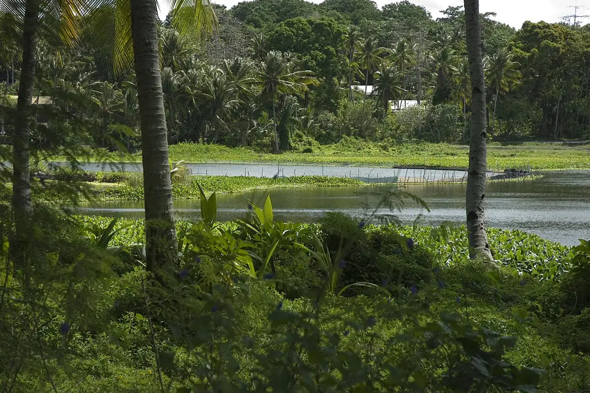 Nauru landmark travel destination