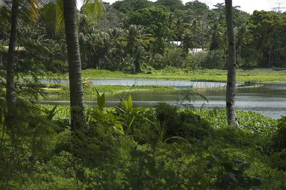 Nauru