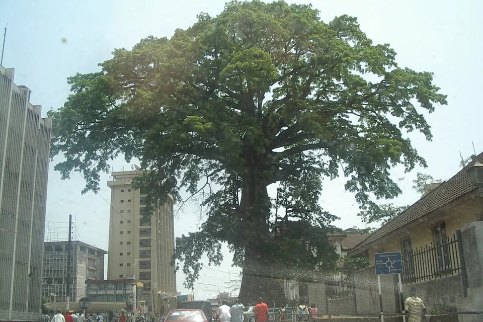 Sierra Leone